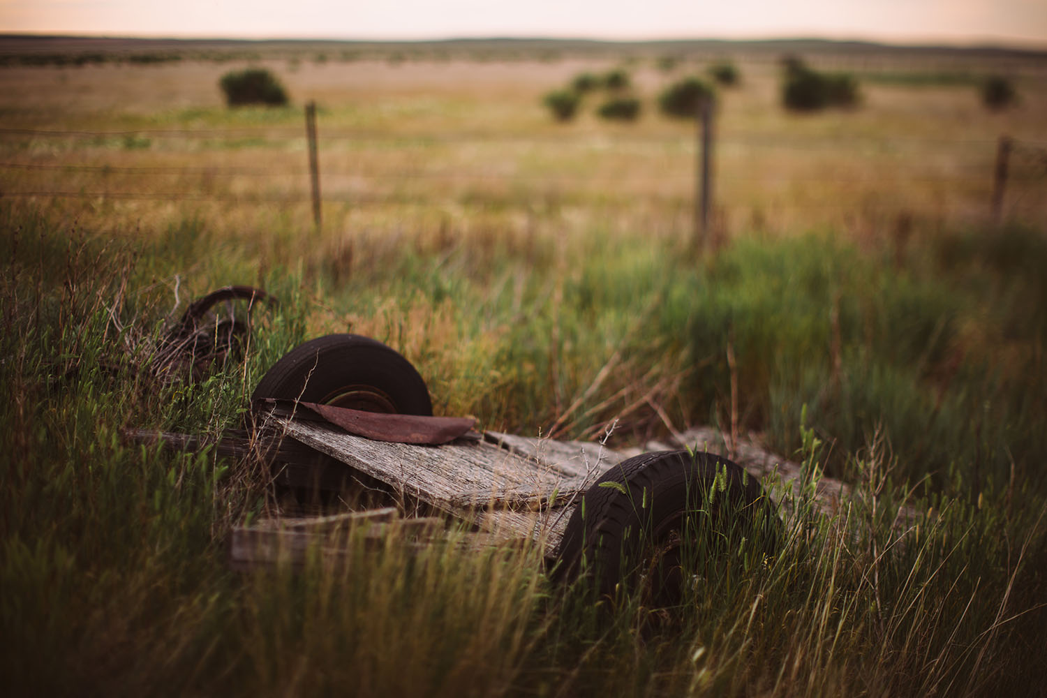 An old wooden trailer sits rotting in a Montana field